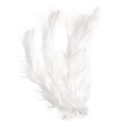 Penas Fluffy Branca 10|15cm