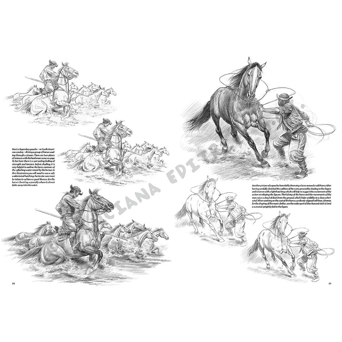 Livro Coleção Leonardo Nº 11 Cavalos e Cavaleiros edições vinciana