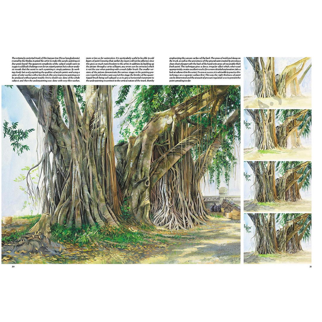 Livro Coleção Leonardo Nº 45 Árvores e Folhas edições vinciana