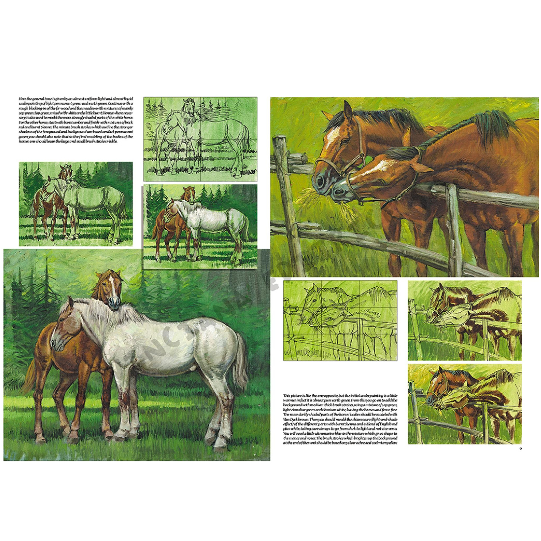 Livro Coleção Leonardo Nº 6 Os Cavalos edições vinciana
