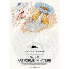 Livro de Colorir Art Forms In Nature 16 Desenhos
