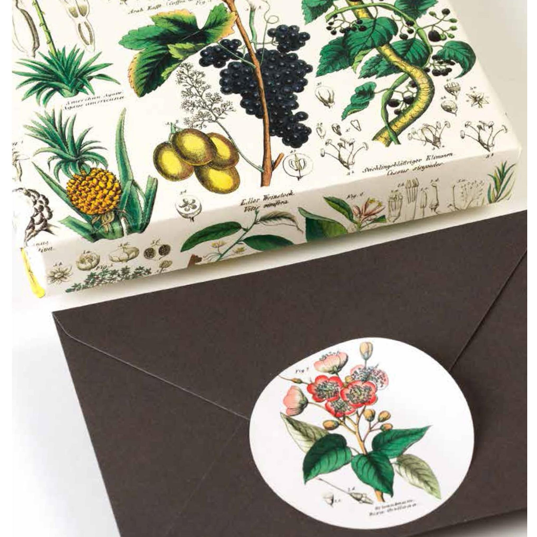 Livro Stickers  Etiquetas Flora pepin