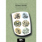 Livro Stickers | Etiquetas Natural History