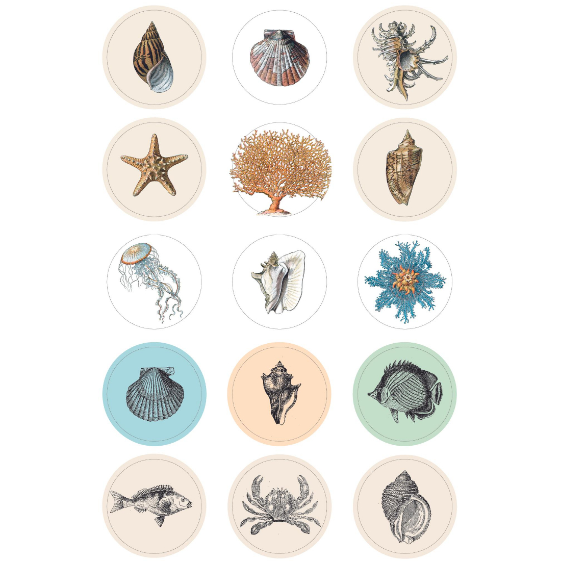 Livro Stickers  Etiquetas Natural History pepin